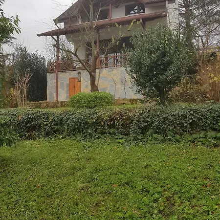 Chalet Sapanca Natura Somineli Dag Evi