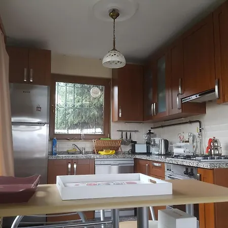 Sapanca Natura Somineli Dag Evi Chalet Sakarya (Marmara)